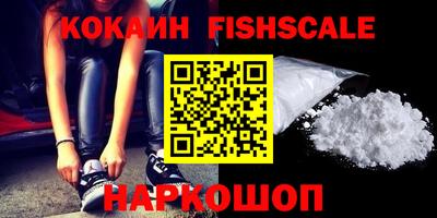 индика Владимир