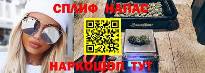 индика Владимир