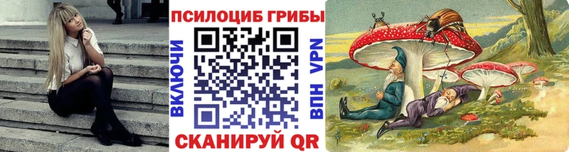 Галлюциногенные грибы Cubensis  наркотики  Белово 
