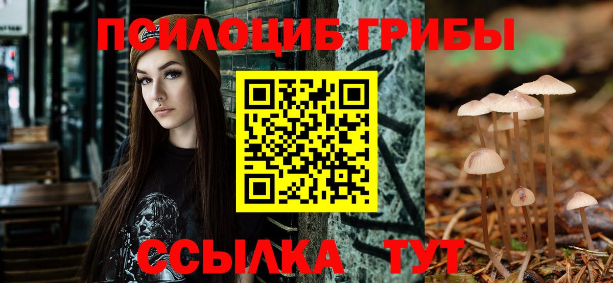 Псилоцибиновые грибы Psilocybine cubensis  магазин продажи   Белово  Вход с VPN  Галлюциногенные грибы MAGIC MUSHROOMS 